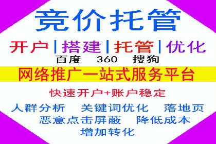 SEM推广优化策略：实战案例分析